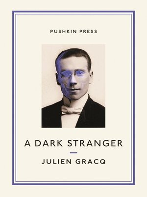 cover image of A Dark Stranger